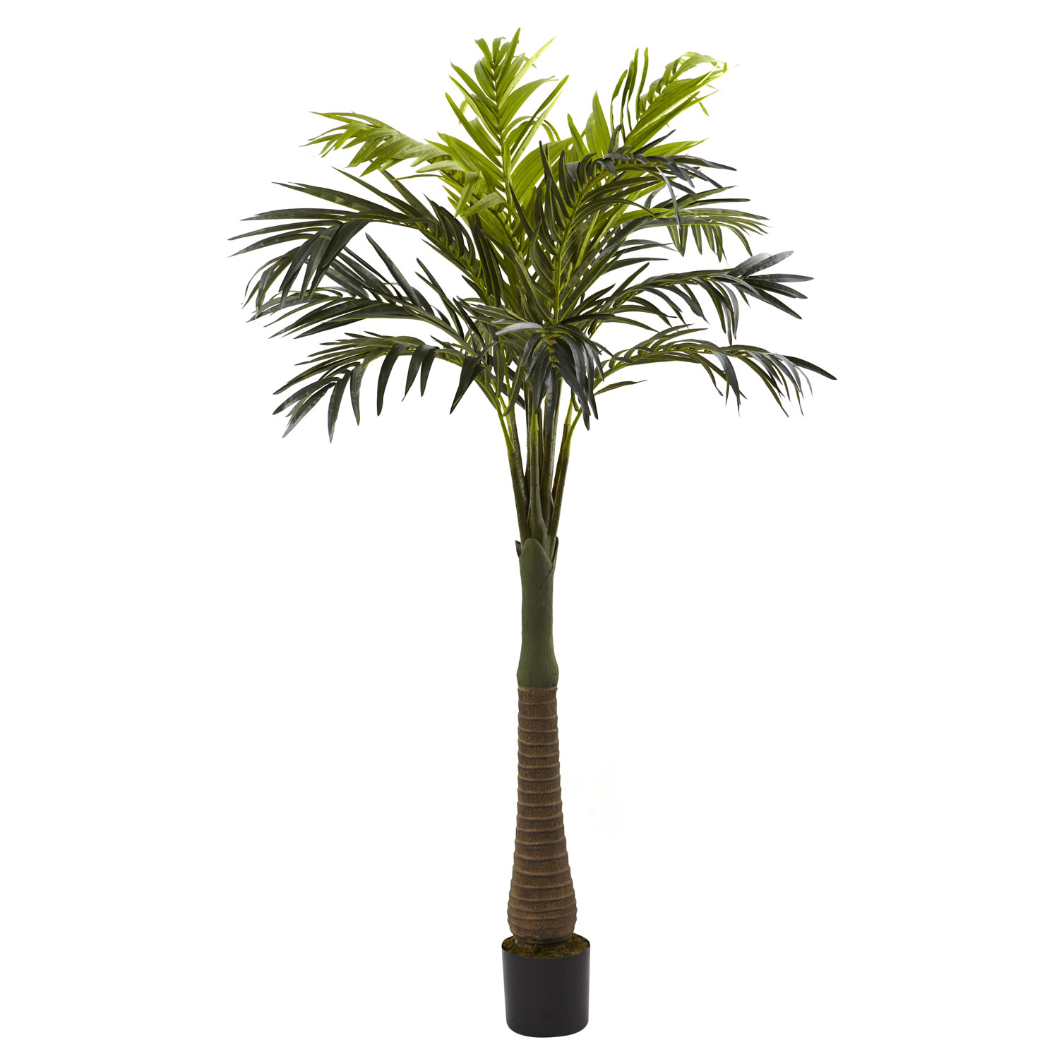 6.5’ Coconut Palm Silk Tree